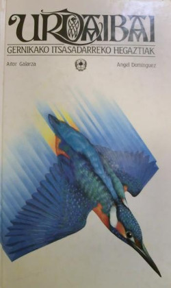 >Aitor Galarzaren eta Angel Dominguezen liburua