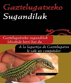 Gaztelugatxeko sugandila