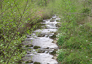 Río Golako