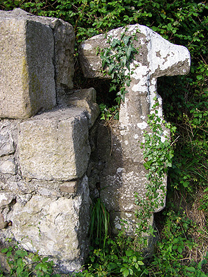 Tolunburuko gurutzadura, Forun