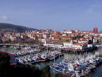 Los barcos de pesca de bajura de Bermeo capturan peces pelágicos