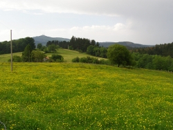 Tras el suave invierno, con la abundante lluvia y la subida de temperaturas típicas de primavera, los pastizales vuelven a reverdecerse.