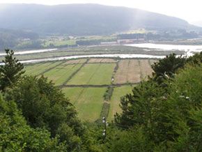 Polder de Anbeko, en Gautegiz Arteaga