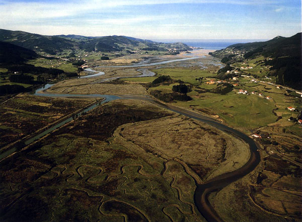 Bordes del canal de marea y del estuario