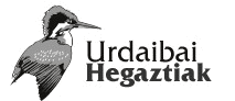 Urdaibai-Hegaztiak taldea