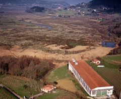 Urdaibai-Hegaztiak taldea